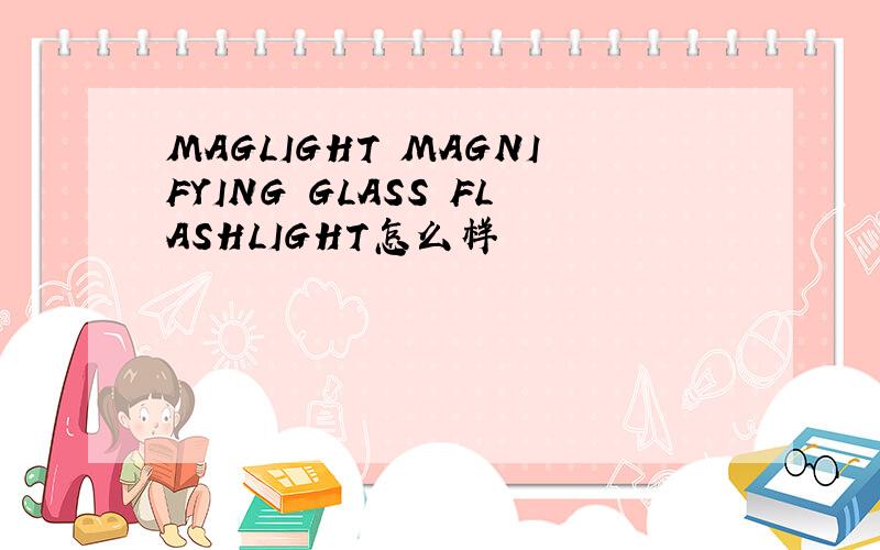 MAGLIGHT MAGNIFYING GLASS FLASHLIGHT怎么样