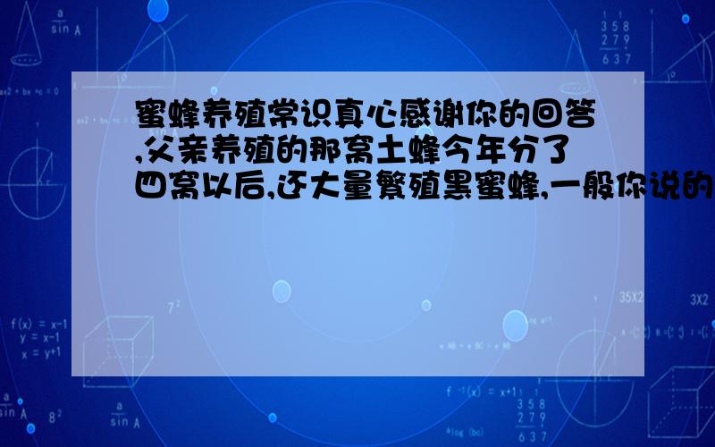 蜜蜂养殖常识真心感谢你的回答,父亲养殖的那窝土蜂今年分了四窝以后,还大量繁殖黑蜜蜂,一般你说的中华蜜蜂（俺们叫土蜜蜂）一