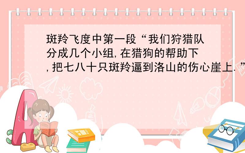 斑羚飞度中第一段“我们狩猎队分成几个小组,在猎狗的帮助下,把七八十只斑羚逼到洛山的伤心崖上.”一句