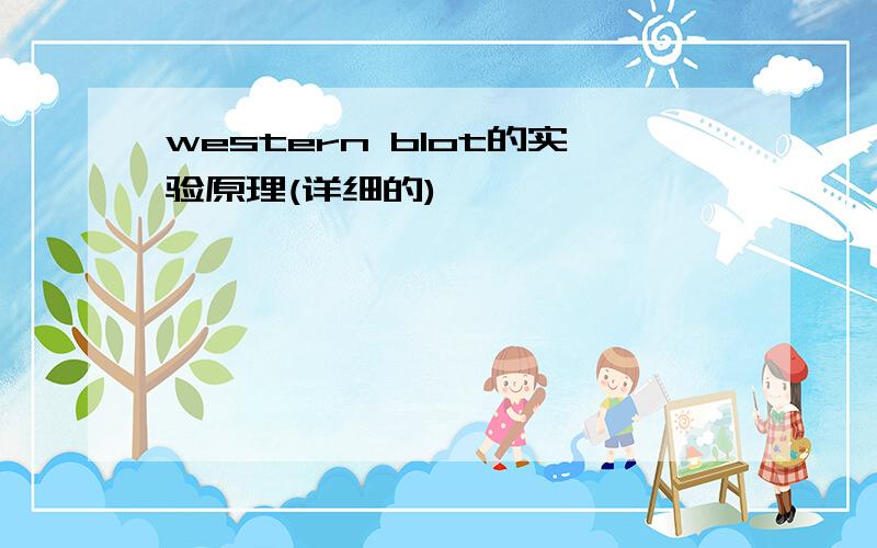 western blot的实验原理(详细的)