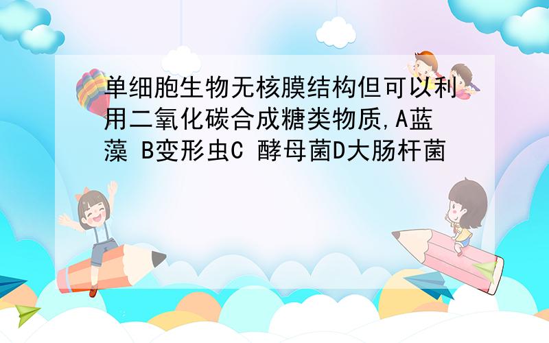 单细胞生物无核膜结构但可以利用二氧化碳合成糖类物质,A蓝藻 B变形虫C 酵母菌D大肠杆菌