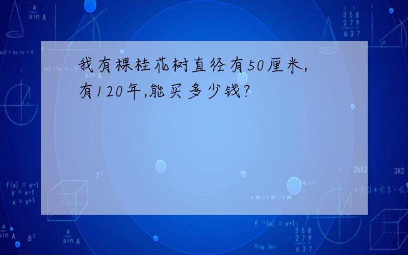 我有棵桂花树直径有50厘米,有120年,能买多少钱?