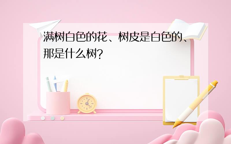 满树白色的花、树皮是白色的、那是什么树?