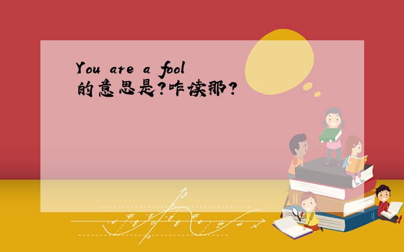 You are a fool的意思是?咋读那?