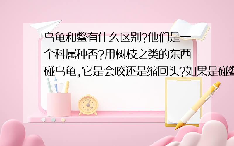 乌龟和鳖有什么区别?他们是一个科属种否?用树枝之类的东西碰乌龟,它是会咬还是缩回头?如果是碰鳖呢?鳖背上有纹没有?