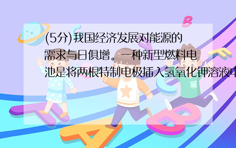 (5分)我国经济发展对能源的需求与日俱增。一种新型燃料电池是将两根特制电极插入氢氧化钾溶液中，然后从两极分别通入甲烷和氧