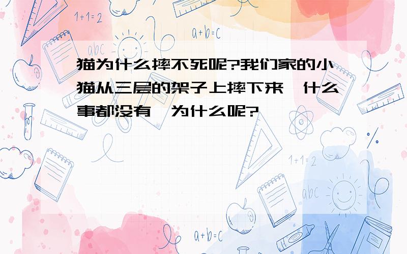 猫为什么摔不死呢?我们家的小猫从三层的架子上摔下来,什么事都没有,为什么呢?