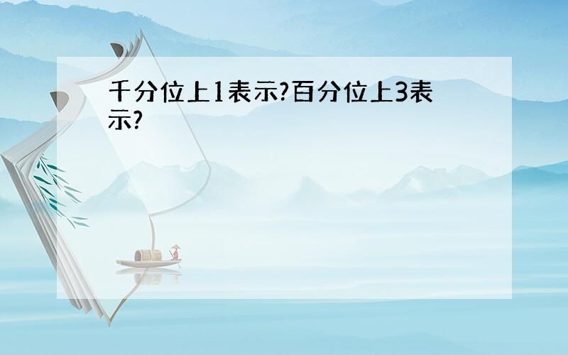 千分位上1表示?百分位上3表示?