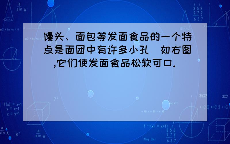 馒头、面包等发面食品的一个特点是面团中有许多小孔(如右图),它们使发面食品松软可口.