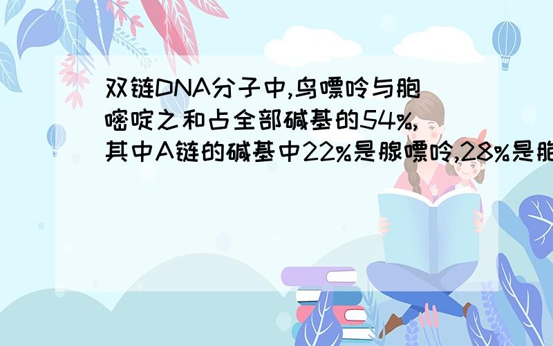 双链DNA分子中,鸟嘌呤与胞嘧啶之和占全部碱基的54%,其中A链的碱基中22%是腺嘌呤,28%是胞嘧啶,则B链中腺嘌呤占