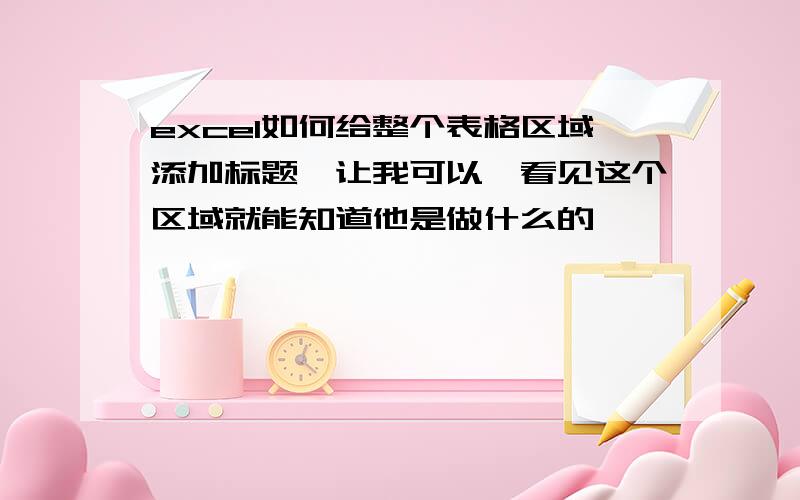 excel如何给整个表格区域添加标题,让我可以一看见这个区域就能知道他是做什么的