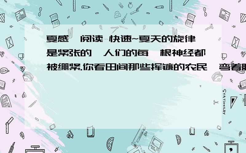 夏感,阅读 快速~夏天的旋律是紧张的,人们的每一根神经都被绷紧.你看田间那些挥镰的农民,弯着腰,流着汗,只是想着快割,快