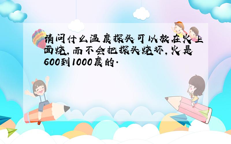 请问什么温度探头可以放在火上面烧,而不会把探头烧坏,火是600到1000度的.