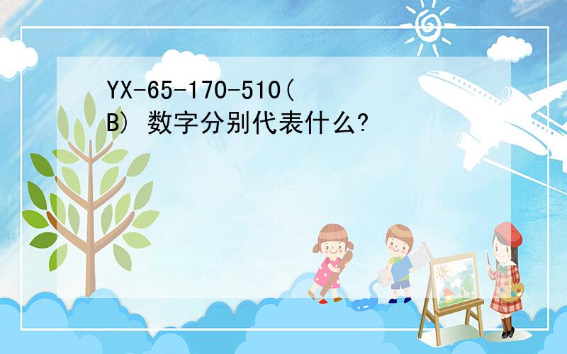 YX-65-170-510(B) 数字分别代表什么?