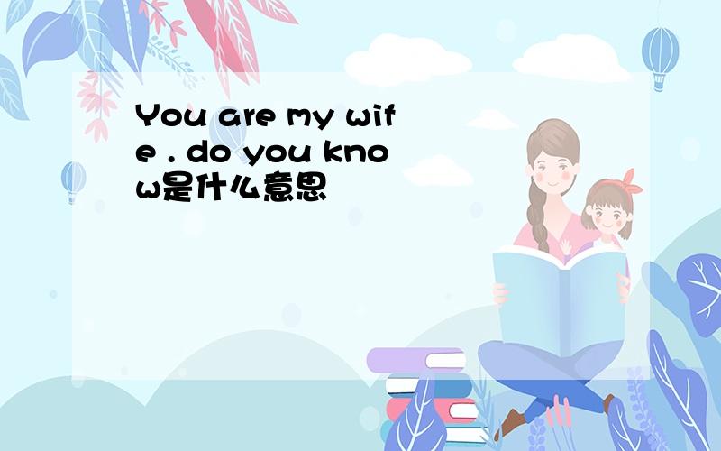 You are my wife . do you know是什么意思