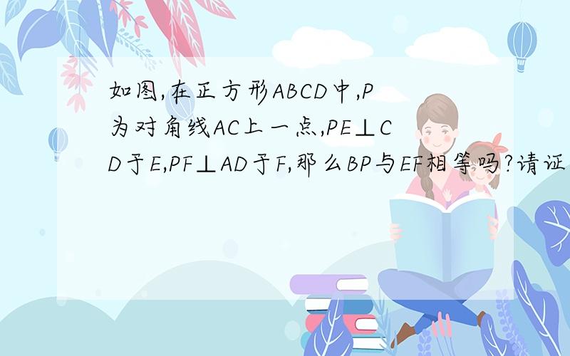 如图,在正方形ABCD中,P为对角线AC上一点,PE⊥CD于E,PF⊥AD于F,那么BP与EF相等吗?请证明.