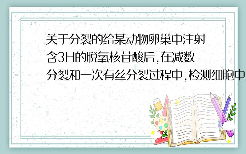 关于分裂的给某动物卵巢中注射含3H的脱氧核苷酸后,在减数分裂和一次有丝分裂过程中,检测细胞中染色体的放射性变化.下图为处