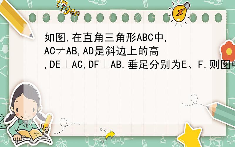 如图,在直角三角形ABC中,AC≠AB,AD是斜边上的高,DE⊥AC,DF⊥AB,垂足分别为E、F,则图中与∠C（∠C除