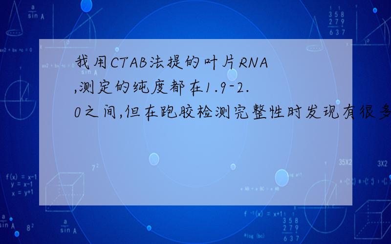 我用CTAB法提的叶片RNA,测定的纯度都在1.9-2.0之间,但在跑胶检测完整性时发现有很多条带,这是什么原因