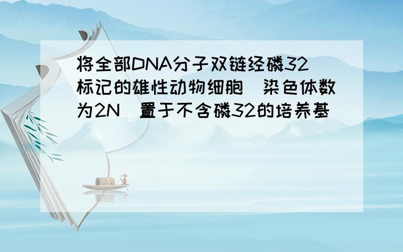 将全部DNA分子双链经磷32标记的雄性动物细胞(染色体数为2N)置于不含磷32的培养基