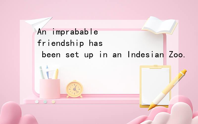 An imprabable friendship has been set up in an Indesian Zoo.