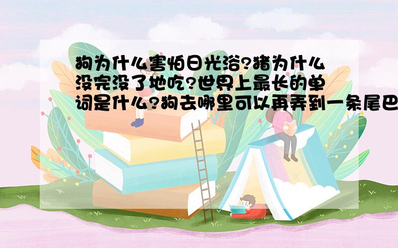 狗为什么害怕日光浴?猪为什么没完没了地吃?世界上最长的单词是什么?狗去哪里可以再弄到一条尾巴?