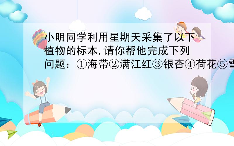 小明同学利用星期天采集了以下植物的标本,请你帮他完成下列问题：①海带②满江红③银杏④荷花⑤雪松⑥桃树