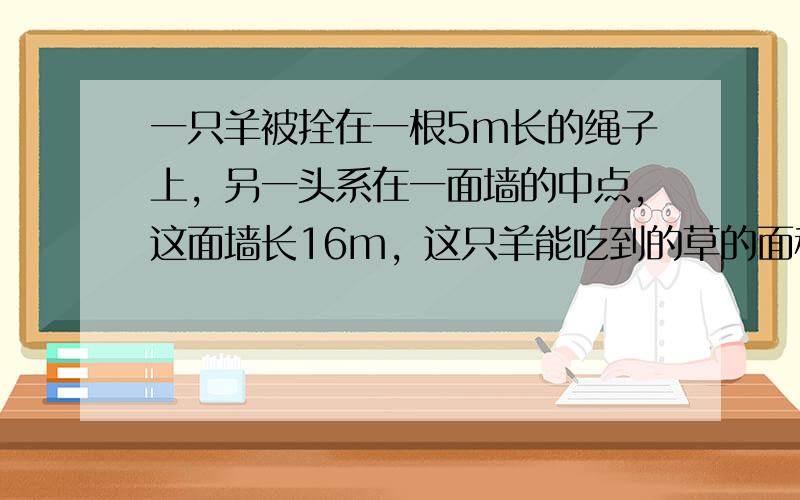 一只羊被拴在一根5m长的绳子上，另一头系在一面墙的中点，这面墙长16m，这只羊能吃到的草的面积是多少平方米？