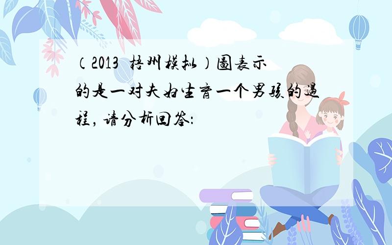 （2013•梧州模拟）图表示的是一对夫妇生育一个男孩的过程，请分析回答：