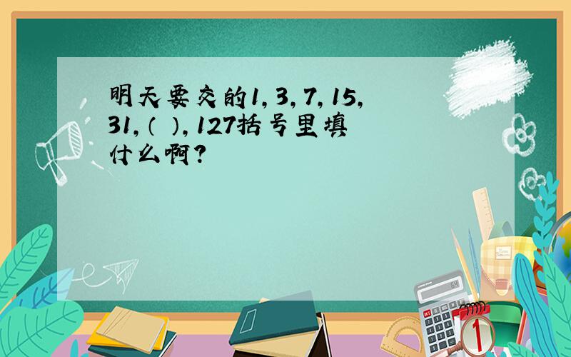 明天要交的1,3,7,15,31,（ ）,127括号里填什么啊?