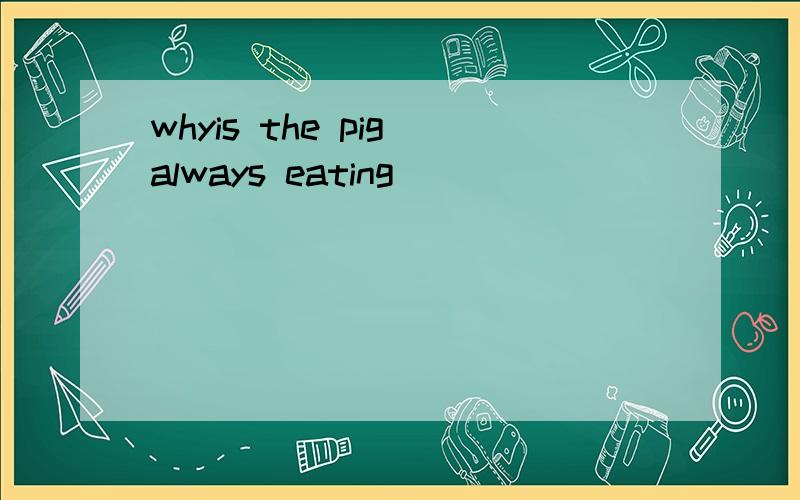 whyis the pig always eating