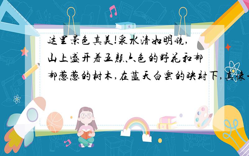 这里景色真美!泉水清如明镜,山上盛开着五颜六色的野花和郁郁葱葱的树木,在蓝天白云的映衬下,真像一幅漂亮美丽的风景画.