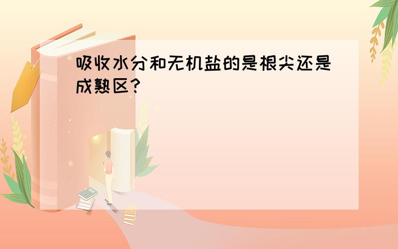 吸收水分和无机盐的是根尖还是成熟区?