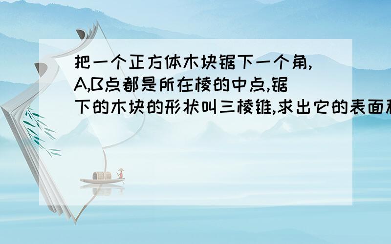 把一个正方体木块锯下一个角,A,B点都是所在棱的中点,锯下的木块的形状叫三棱锥,求出它的表面积