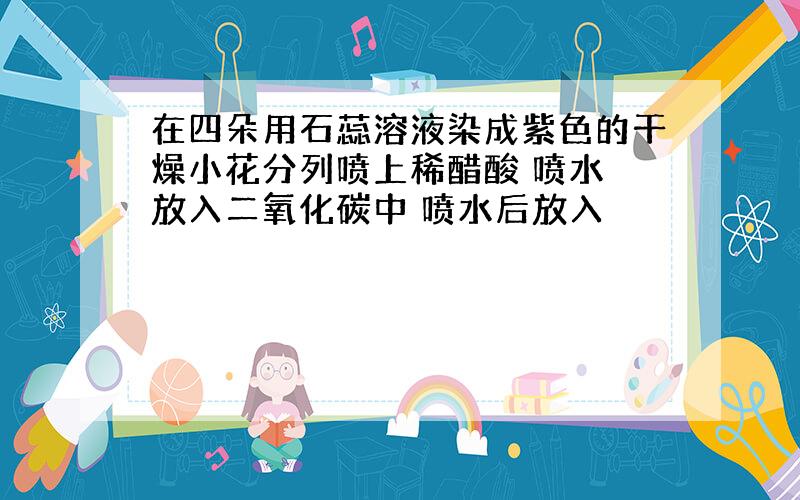 在四朵用石蕊溶液染成紫色的干燥小花分列喷上稀醋酸 喷水 放入二氧化碳中 喷水后放入