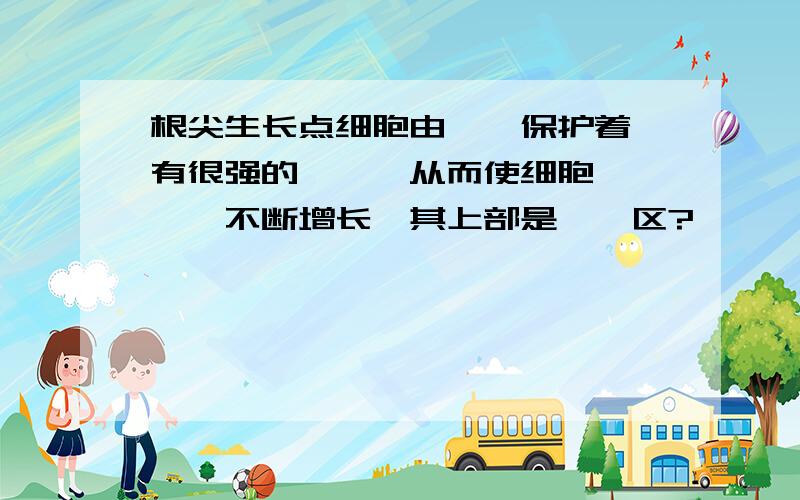 根尖生长点细胞由——保护着,有很强的——,从而使细胞————不断增长,其上部是——区?