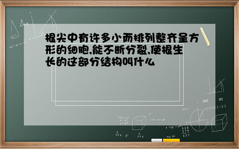 根尖中有许多小而排列整齐呈方形的细胞,能不断分裂,使根生长的这部分结构叫什么