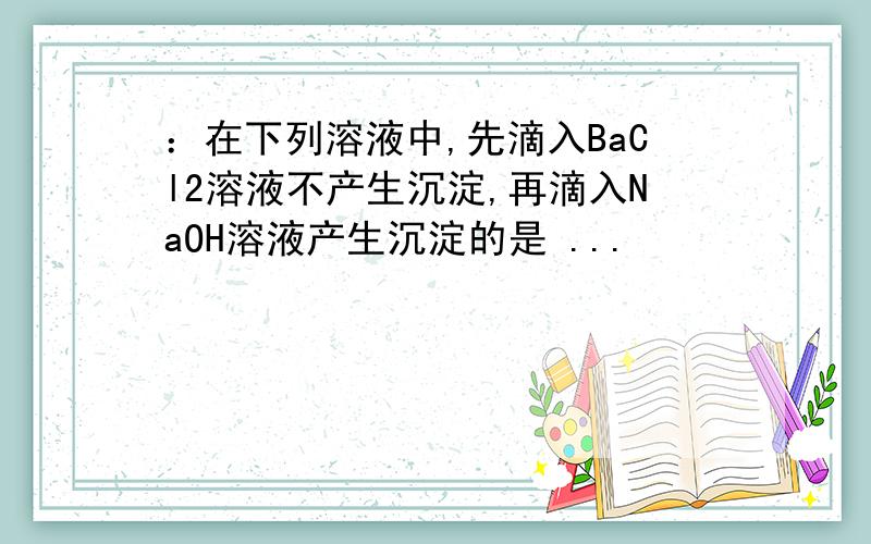 ：在下列溶液中,先滴入BaCl2溶液不产生沉淀,再滴入NaOH溶液产生沉淀的是 ...‎