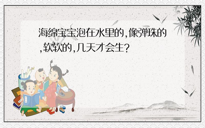 海绵宝宝泡在水里的,像弹珠的,软软的,几天才会生?