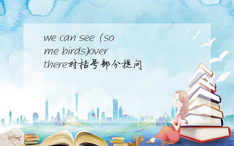 we can see （some birds）over there对括号部分提问