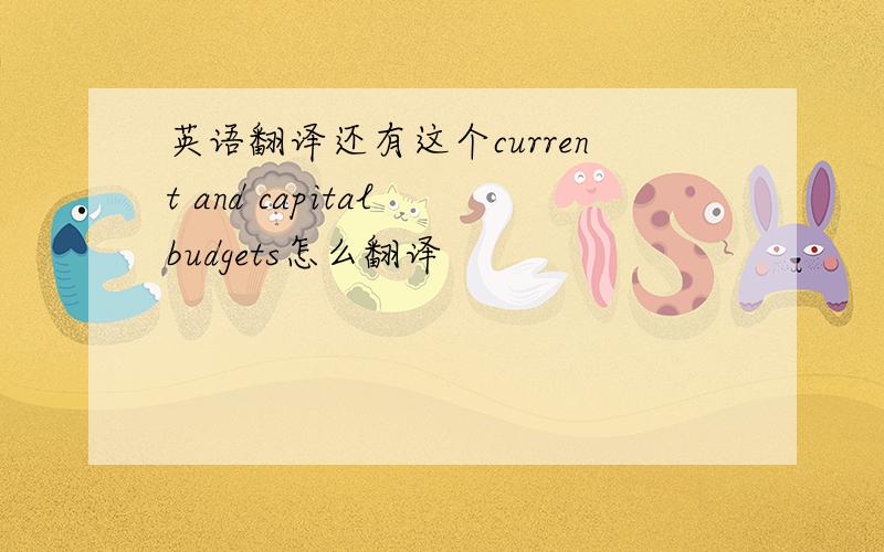 英语翻译还有这个current and capital budgets怎么翻译