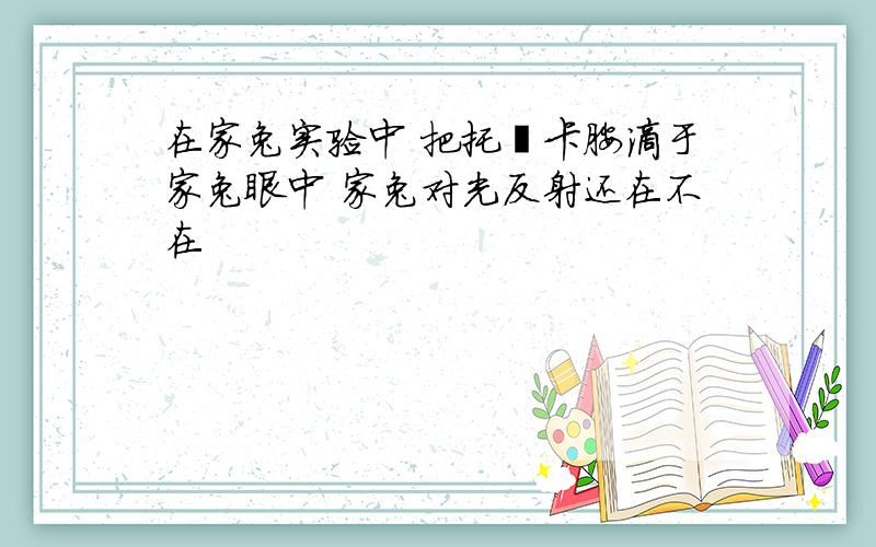 在家兔实验中 把托吡卡胺滴于家兔眼中 家兔对光反射还在不在