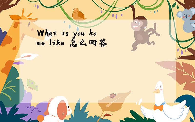 What is you home like 怎么回答