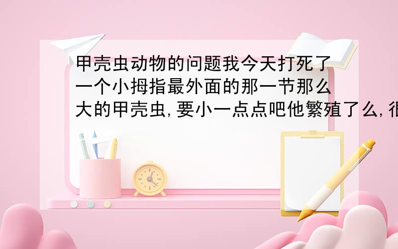 甲壳虫动物的问题我今天打死了一个小拇指最外面的那一节那么大的甲壳虫,要小一点点吧他繁殖了么,很怕这种动物在家中啊.