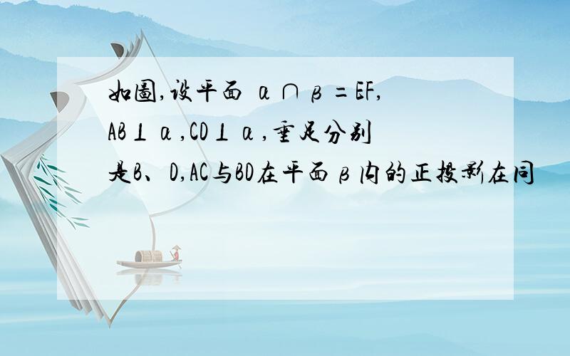 如图,设平面 α∩β=EF,AB⊥α,CD⊥α,垂足分别是B、D,AC与BD在平面β内的正投影在同