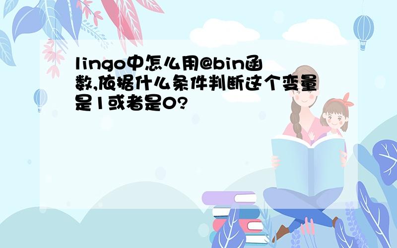 lingo中怎么用@bin函数,依据什么条件判断这个变量是1或者是0?