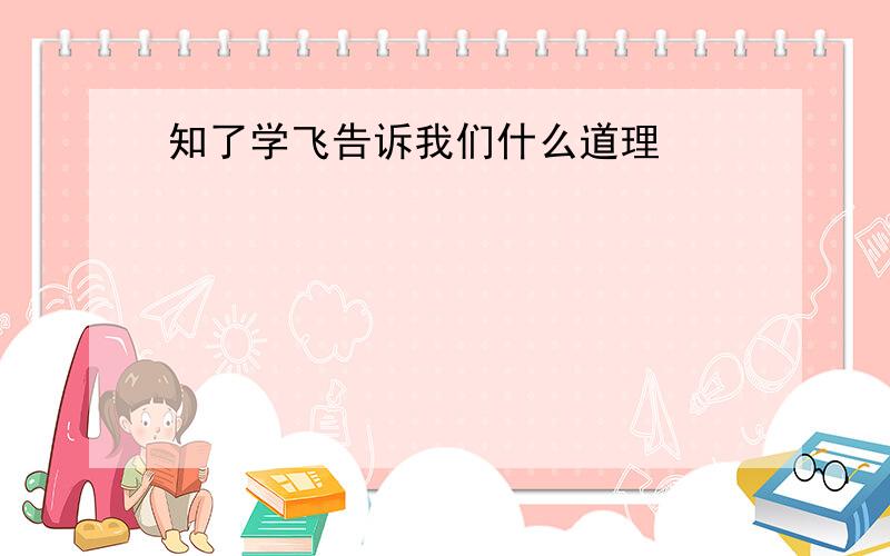 知了学飞告诉我们什么道理