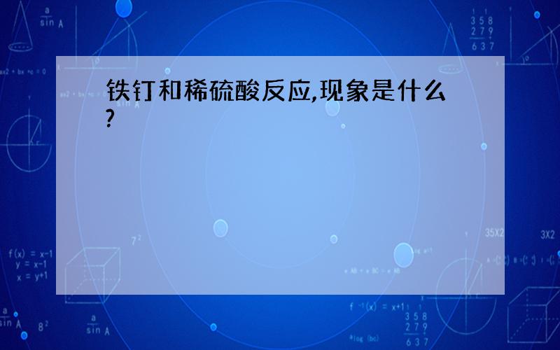 铁钉和稀硫酸反应,现象是什么?