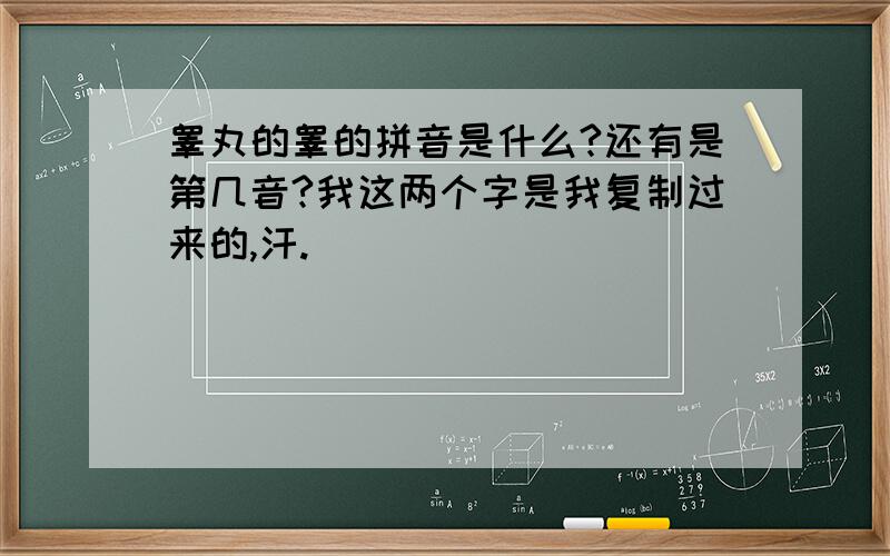 睾丸的睾的拼音是什么?还有是第几音?我这两个字是我复制过来的,汗.