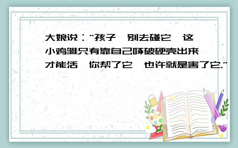 大娘说：“孩子,别去碰它,这小鸡雏只有靠自己啄破硬壳出来才能活,你帮了它,也许就是害了它.”